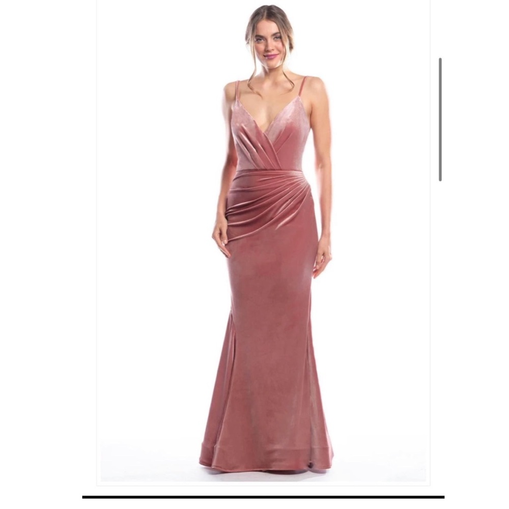 Bari Jay Velvet Gown
